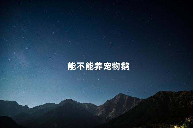 能不能养宠物鹅
