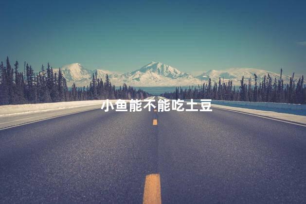 小鱼能不能吃土豆