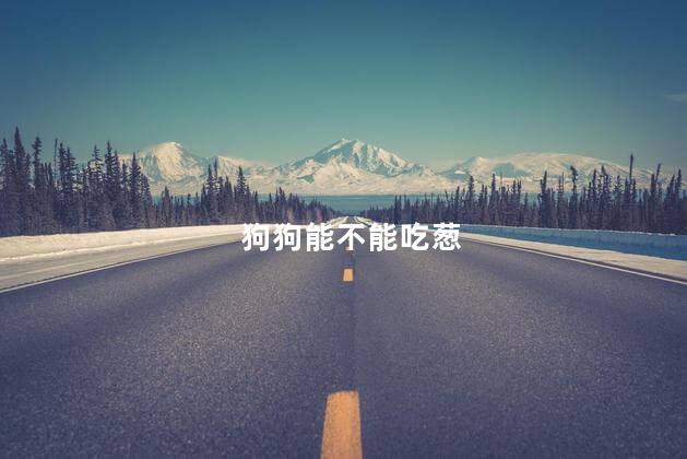 狗狗能不能吃葱