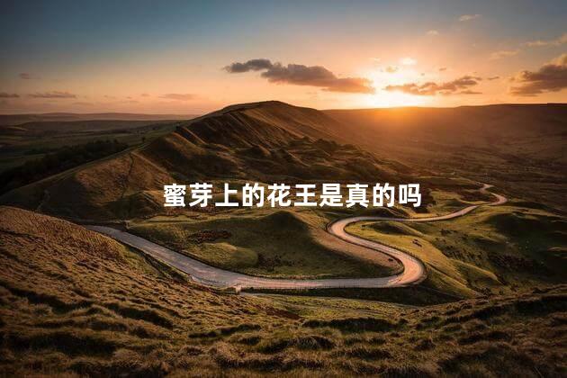 蜜芽上的花王是真的吗