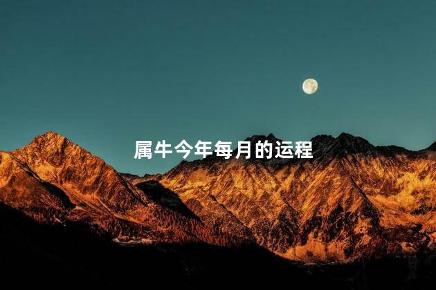 属牛今年每月的运程