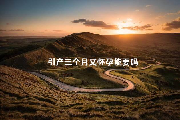 引产三个月又怀孕能要吗