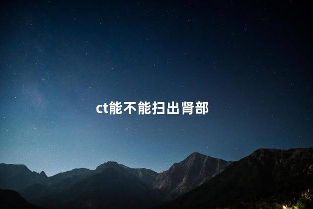 ct能不能扫出肾部