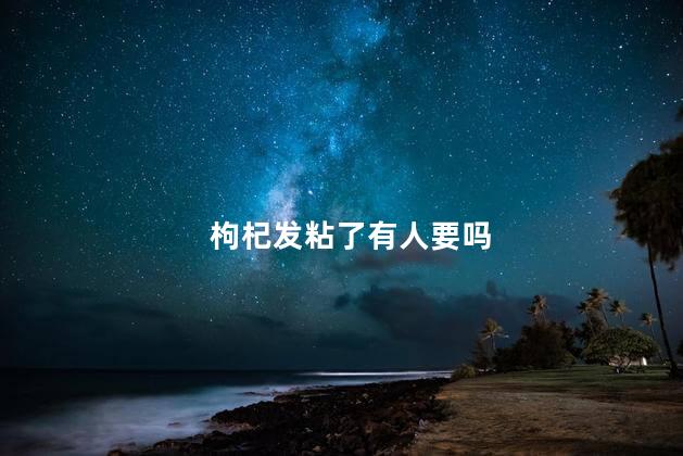 枸杞发粘了有人要吗