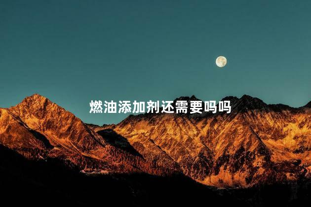 燃油添加剂还需要吗吗