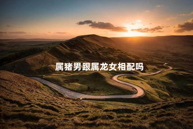 属猪男跟属龙女相配吗
