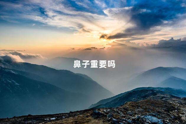 鼻子重要吗