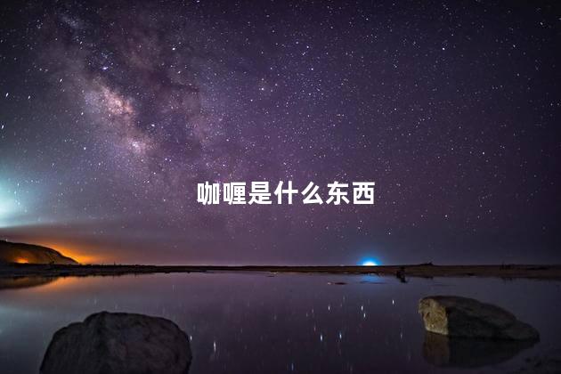 咖喱是什么东西