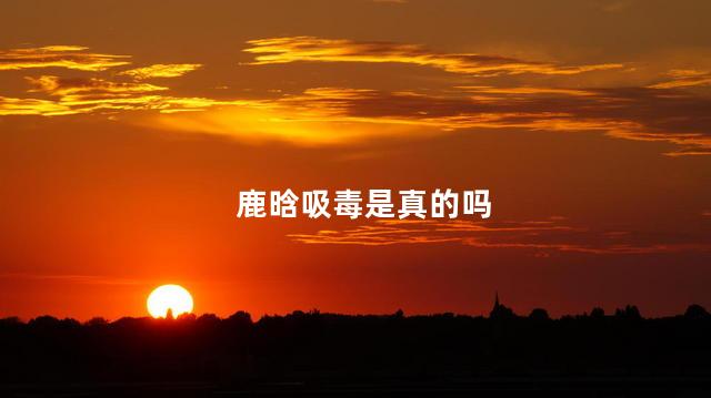 鹿晗吸毒是真的吗