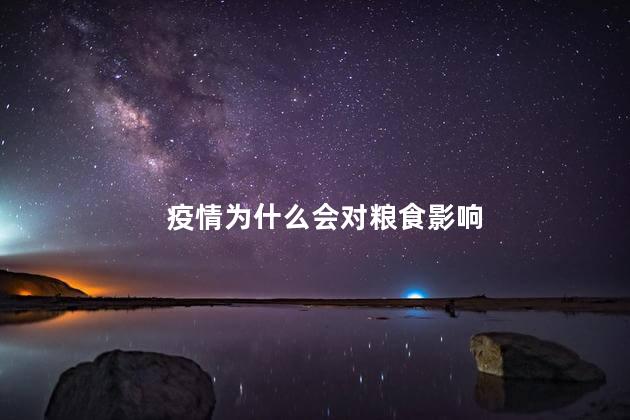 疫情为什么会对粮食影响