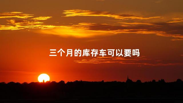 三个月的库存车可以要吗