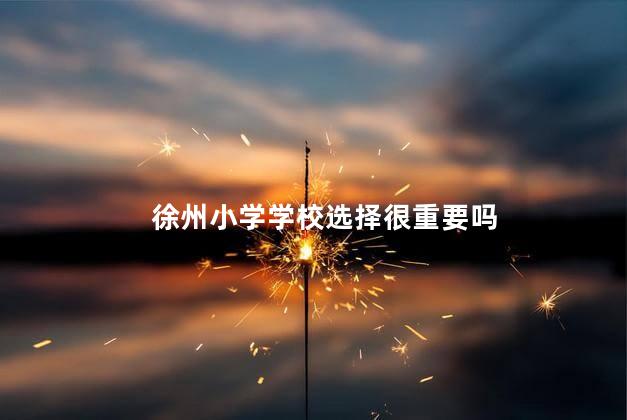 徐州小学学校选择很重要吗