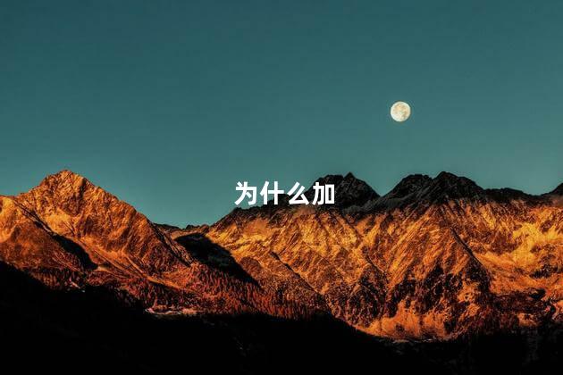 为什么加
