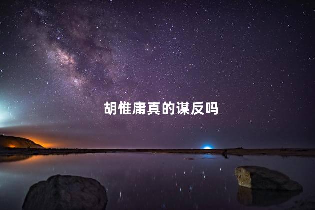 胡惟庸真的谋反吗