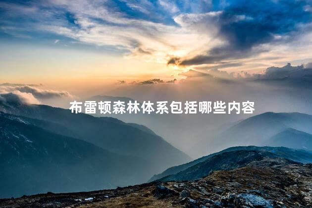 布雷顿森林体系包括哪些内容