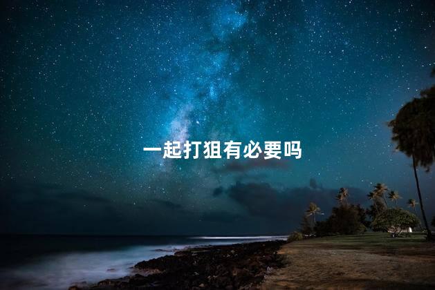 一起打狙有必要吗