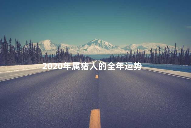 2020年属猪人的全年运势