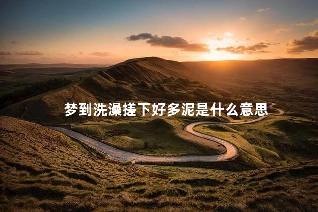 梦到洗澡搓下好多泥是什么意思