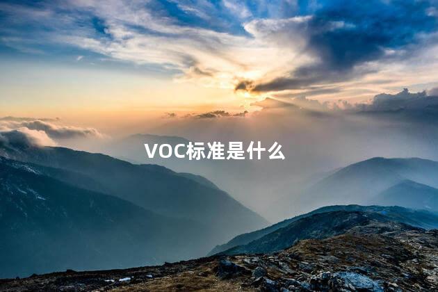 VOC标准是什么