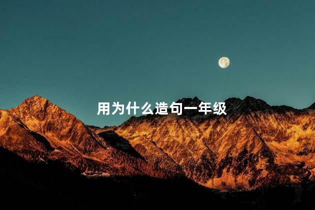 用为什么造句一年级