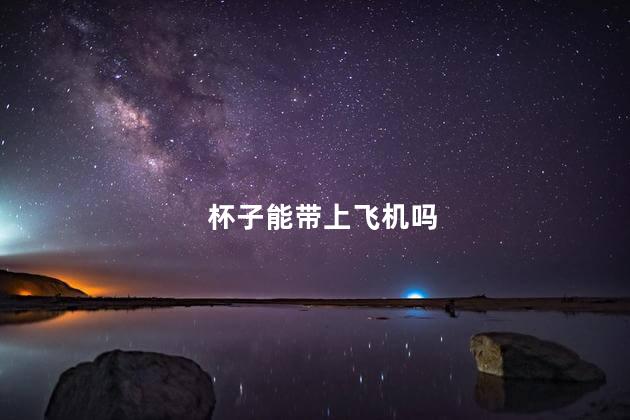 杯子能带上飞机吗