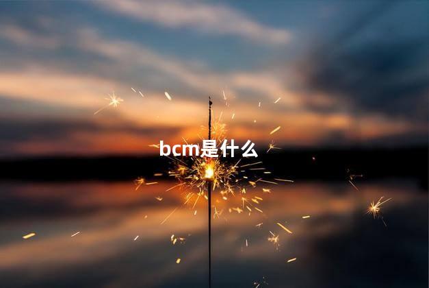 bcm是什么