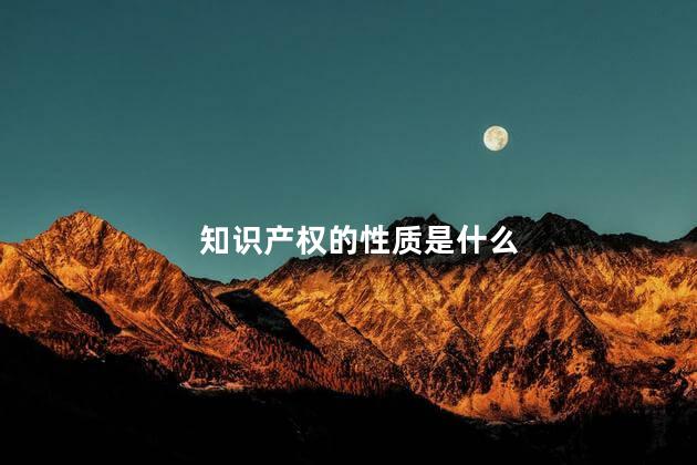 知识产权的性质是什么