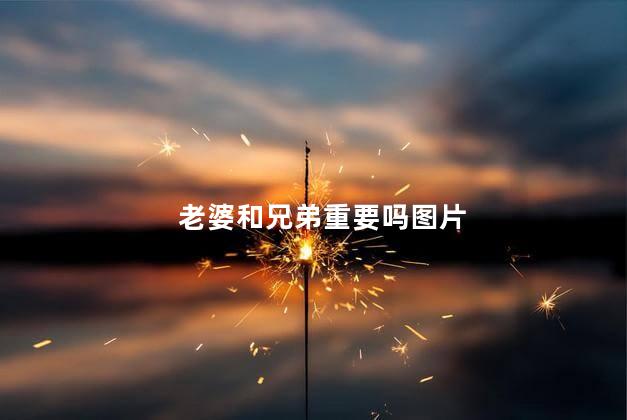 老婆和兄弟重要吗图片