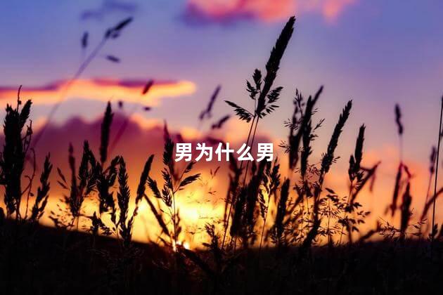 男为什么男