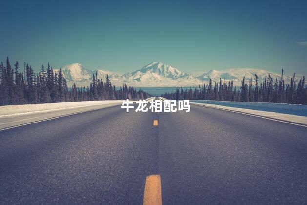 牛龙相配吗