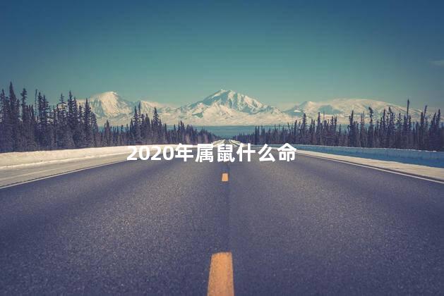 2020年属鼠什么命