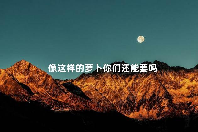 像这样的萝卜你们还能要吗
