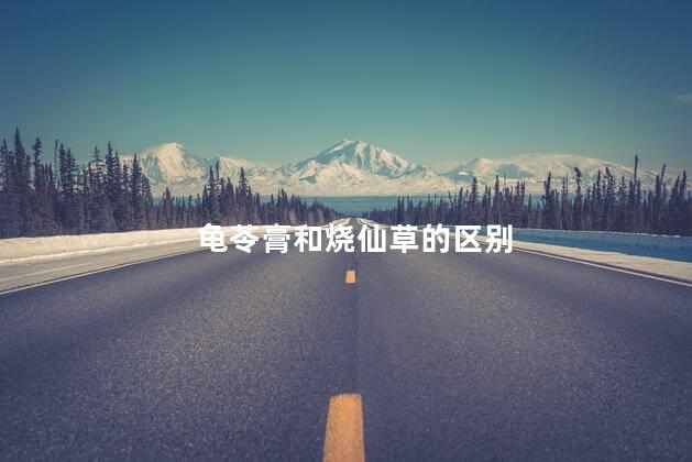 龟苓膏和烧仙草的区别
