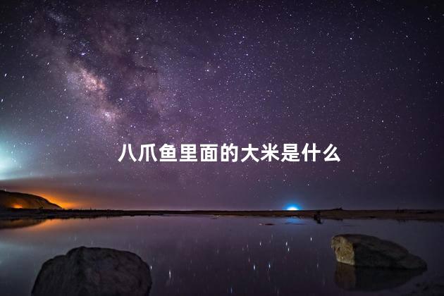 八爪鱼里面的大米是什么