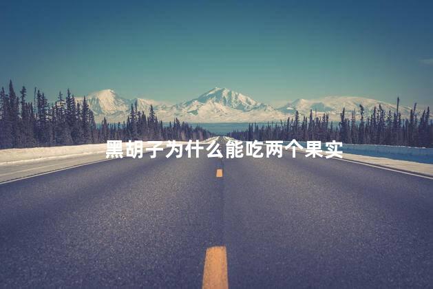 黑胡子为什么能吃两个果实