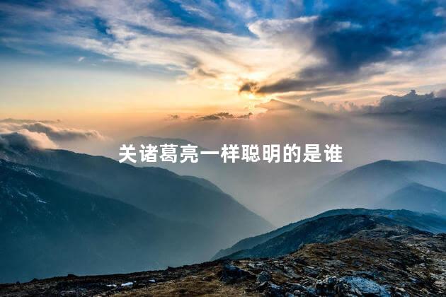 关诸葛亮一样聪明的是谁