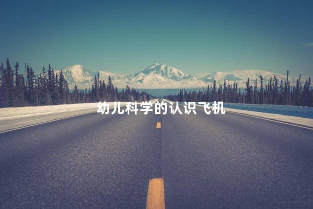 幼儿科学的认识飞机