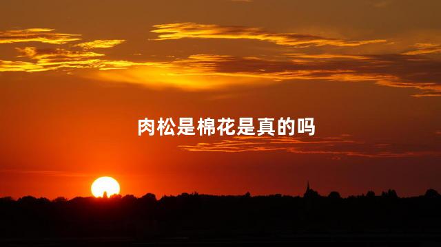 肉松是棉花是真的吗