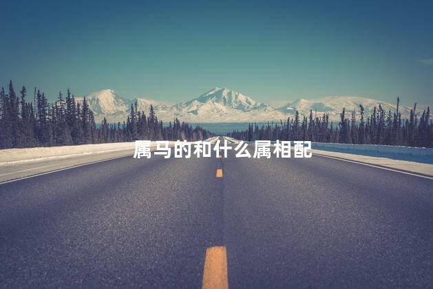 属马的和什么属相配