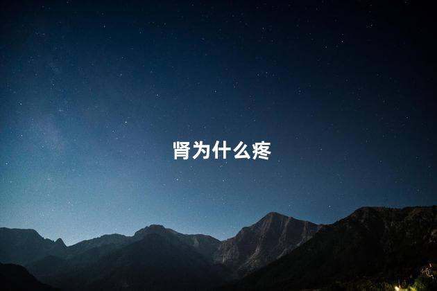 肾为什么疼