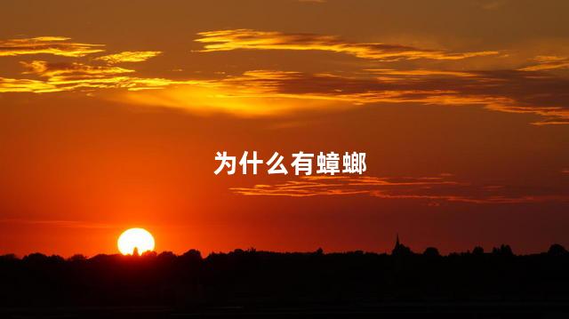 为什么有蟑螂