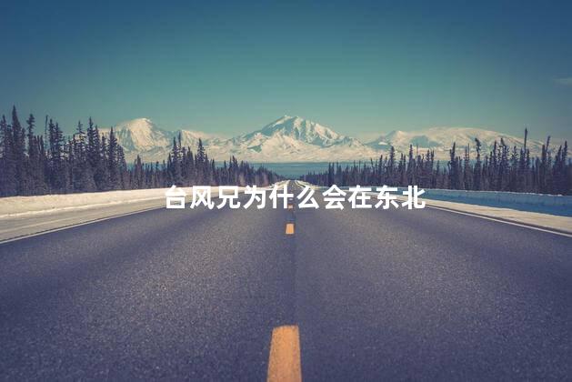 台风兄为什么会在东北
