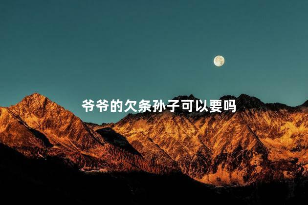 爷爷的欠条孙子可以要吗
