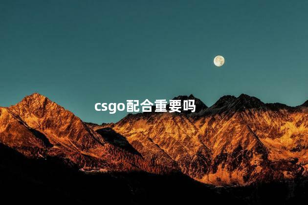 csgo配合重要吗