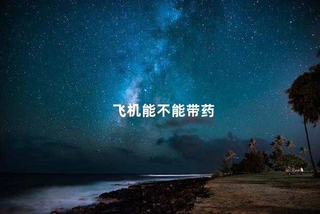 飞机能不能带药