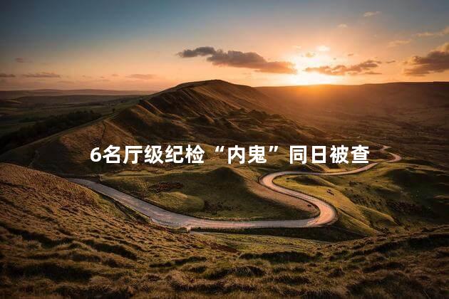 6名厅级纪检“内鬼”同日被查