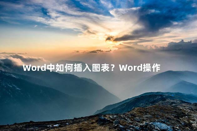 Word中如何插入图表？Word操作：插入图表