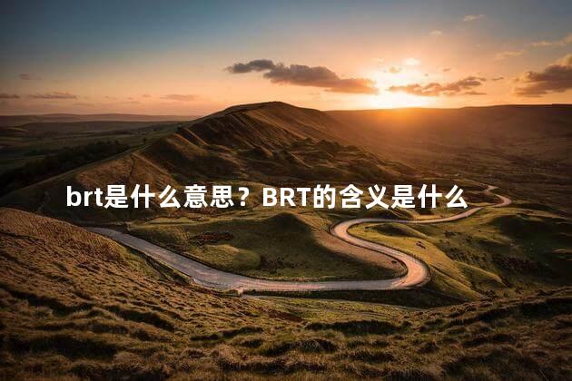 brt是什么意思？BRT的含义是什么？