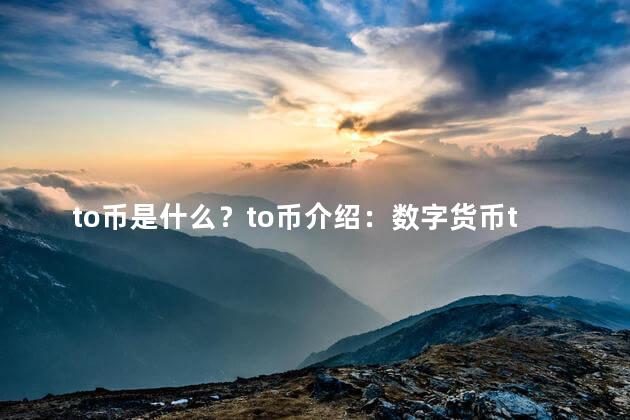 to币是什么？to币介绍：数字货币to币是什么