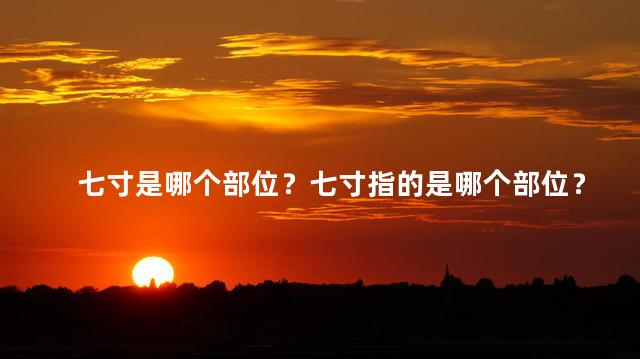 七寸是哪个部位？七寸指的是哪个部位？